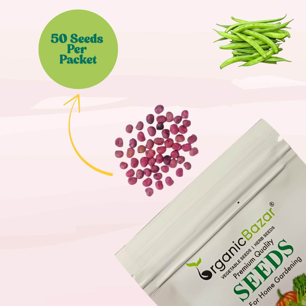 Gwar Phali Seeds - 50 Seeds (Cluster Beans/क्लस्टर बीन्स/ग्वार फली के बीज) High Germination, Easy to Grow Seeds For Terrace Gardening
