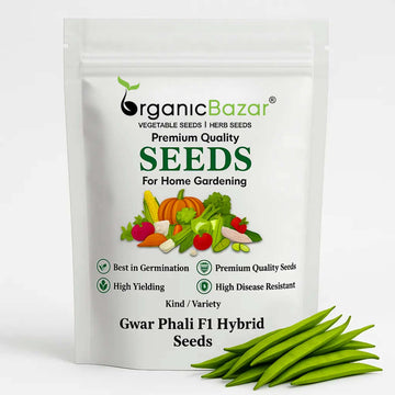 Gwar Phali F1 Hybrid Seeds - 50 Seeds (Cluster Beans/क्लस्टर बीन्स/ग्वार फली के बीज) High Germination, Easy to Grow Seeds For Terrace Gardening