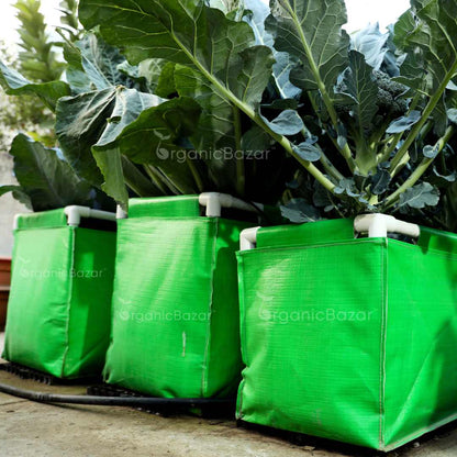 HDPE 60x15x15 Rectangle Grow Bag With Supporting Pvc Pipes Extra Thick Premium Quality Grow Bags