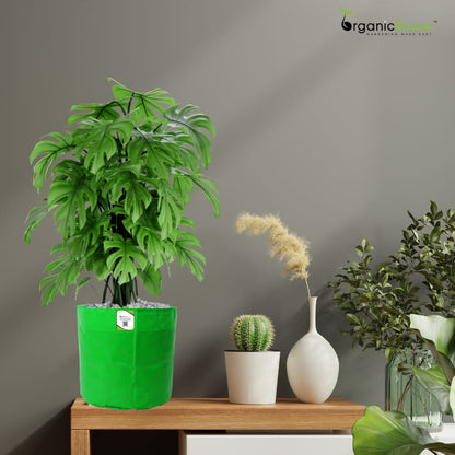 OrganicBazar HDPE 10×10 Cylindrical Grow Bag – 260 GSM | UV-Stabilized Round Grow Bag for Vegetables & Flowers