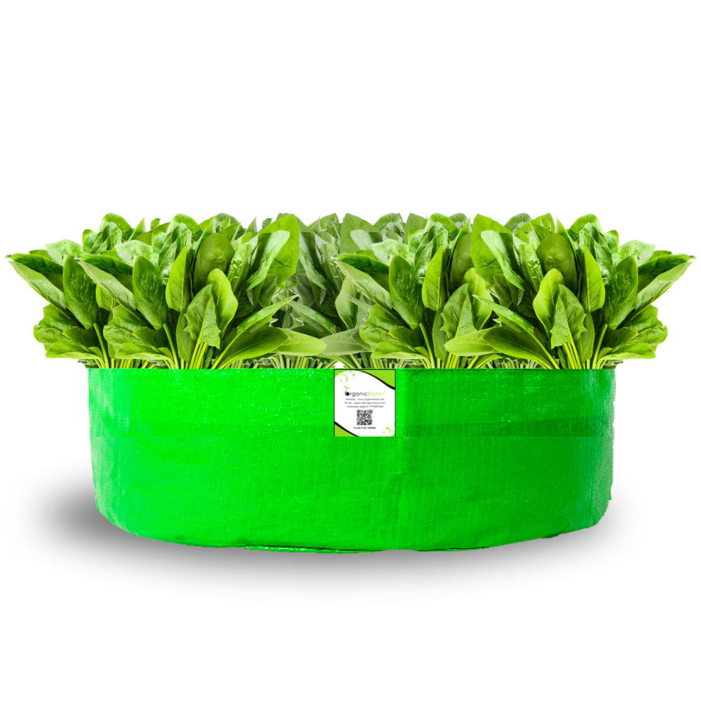 OrganicBazar 24x6 Grow Bag for Leafy Vegetables, Premium HDPE 260 GSM, Green Plant Bags for Terrace Garden