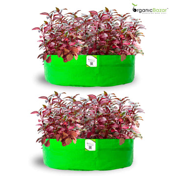 OrganicBazar 24x9 Grow Bag for Leafy Vegetables, Premium HDPE 260 GSM, Green Plant Bags for Terrace Garden