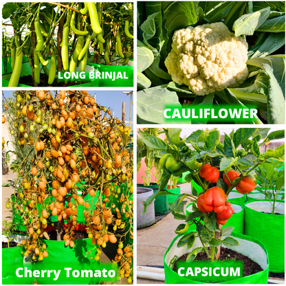 OrganicBazar 12x18 Grow Bag for Vegetables Garden, Premium HDPE 260 GSM, Green Plant Bags for Terrace Garden