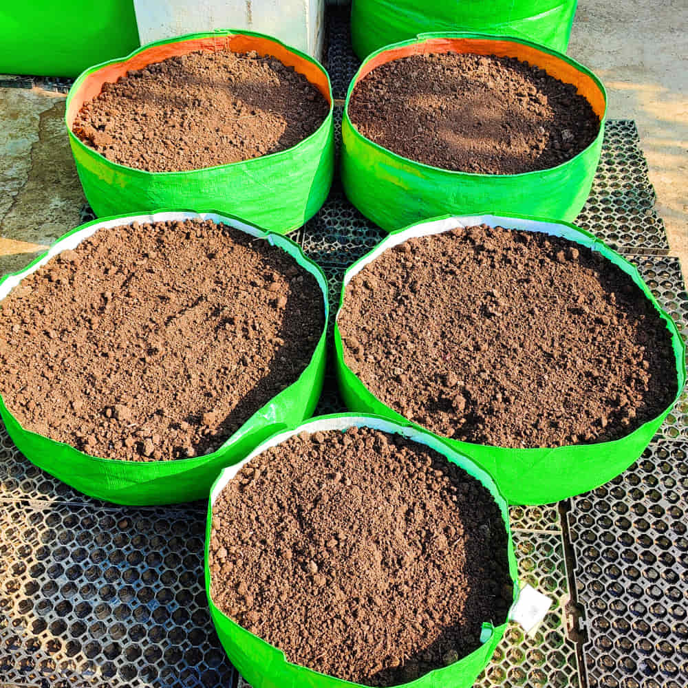 OrganicBazar 18x6 Grow Bag for Leafy Vegetables, Premium HDPE 260 GSM, Green Plant Bags for Terrace Garden