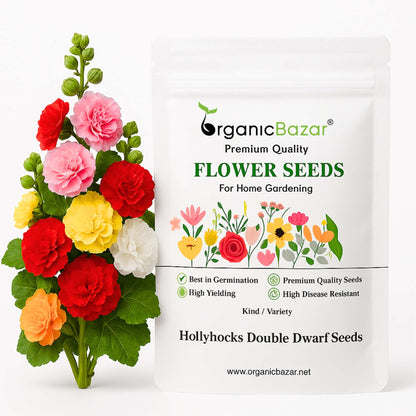 Hollyhocks Double Dwarf Mix Seeds - 50 Seeds (Gulkhera/गुलखैरा के बीज)