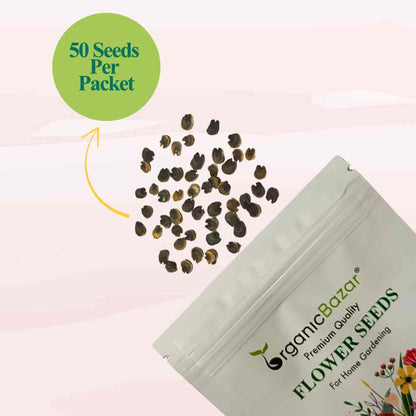 Hollyhock Summer Carnival Mix Seeds - 50 Seeds (Gulkhera/गुलखैरा के बीज)