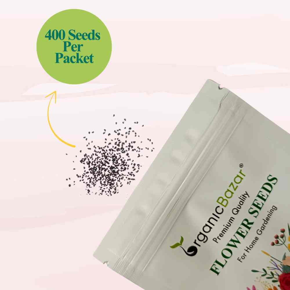 Iceland Poppy Mix Seeds (400 Seeds)