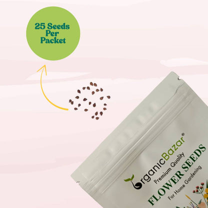 Impatiens Baby Dwarf Mixed Seeds (25 Seeds) Easy To Grow, High Germination, Perfect for pots, balconies, or Terrace gardens