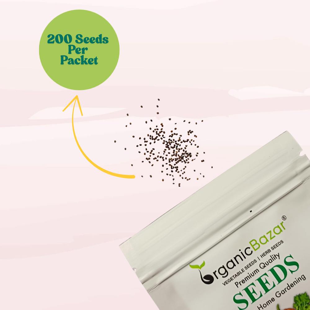 Indian Holy Basil (Desi Tulsi) Seeds For Home gardening (200 Seeds) High Germination/ Easy to Grow