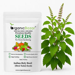 Indian Holy Basil (Desi Tulsi) Seeds For Home gardening (200 Seeds) High Germination/ Easy to Grow