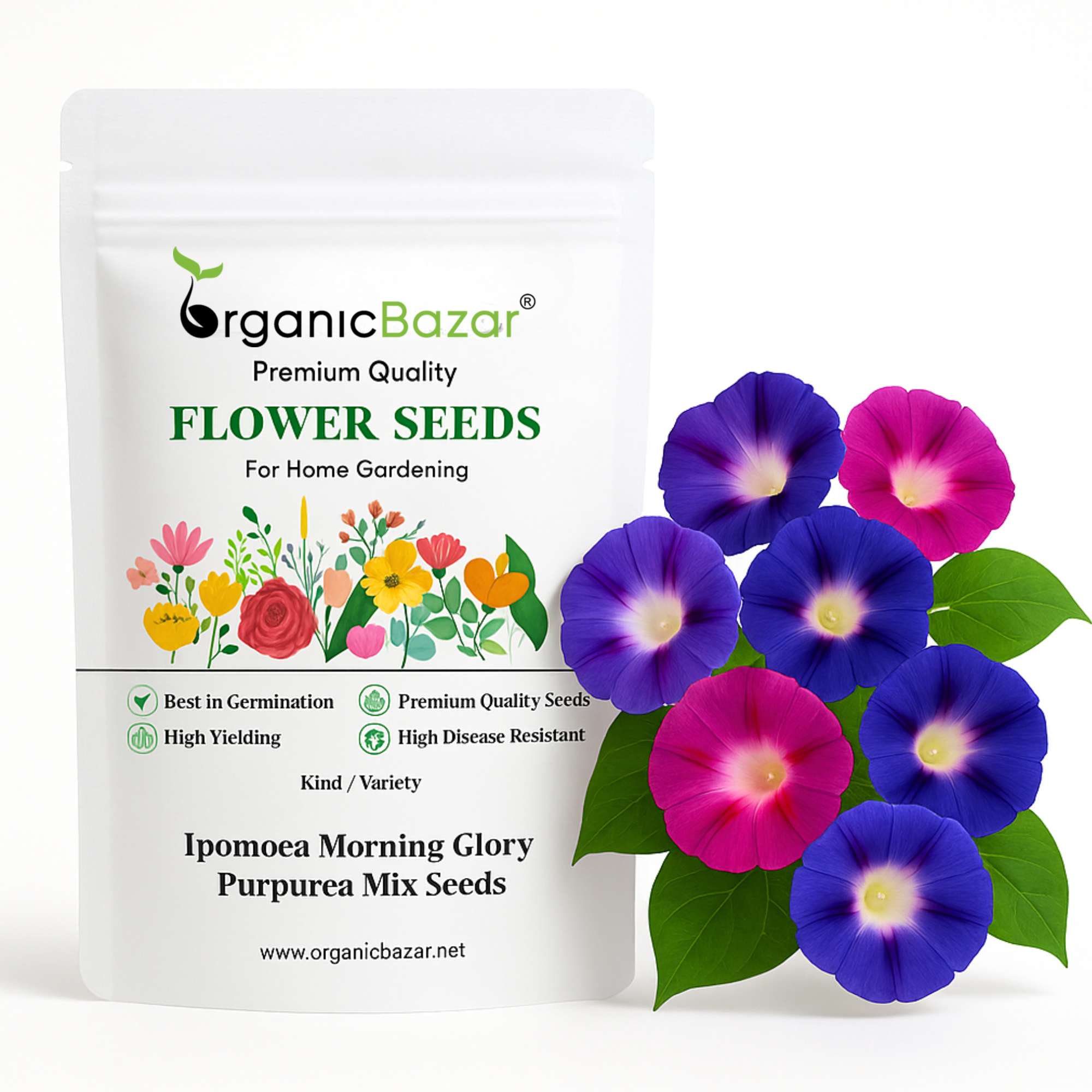 Ipomoea Morning Glory Purpurea Mix Seeds - 50 Seeds