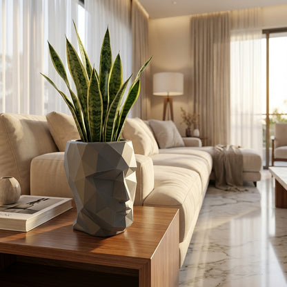 Iron Man Face Planter Pot (Pack of 1) – Luxury Geometric Designer Plant Pots for Living Room, Bedroom, Office, Villa, & premium commercial interiors