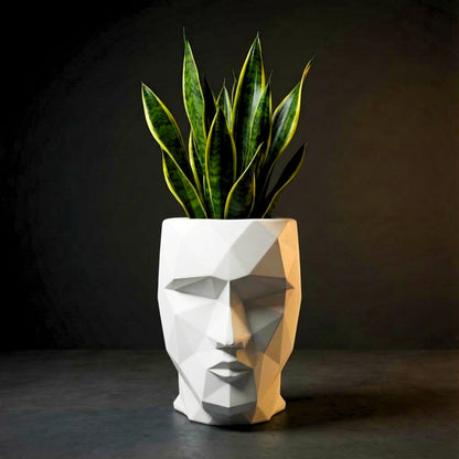 Iron Man Face Planter Pot (Pack of 1) – Luxury Geometric Designer Plant Pots for Living Room, Bedroom, Office, Villa, & premium commercial interiors