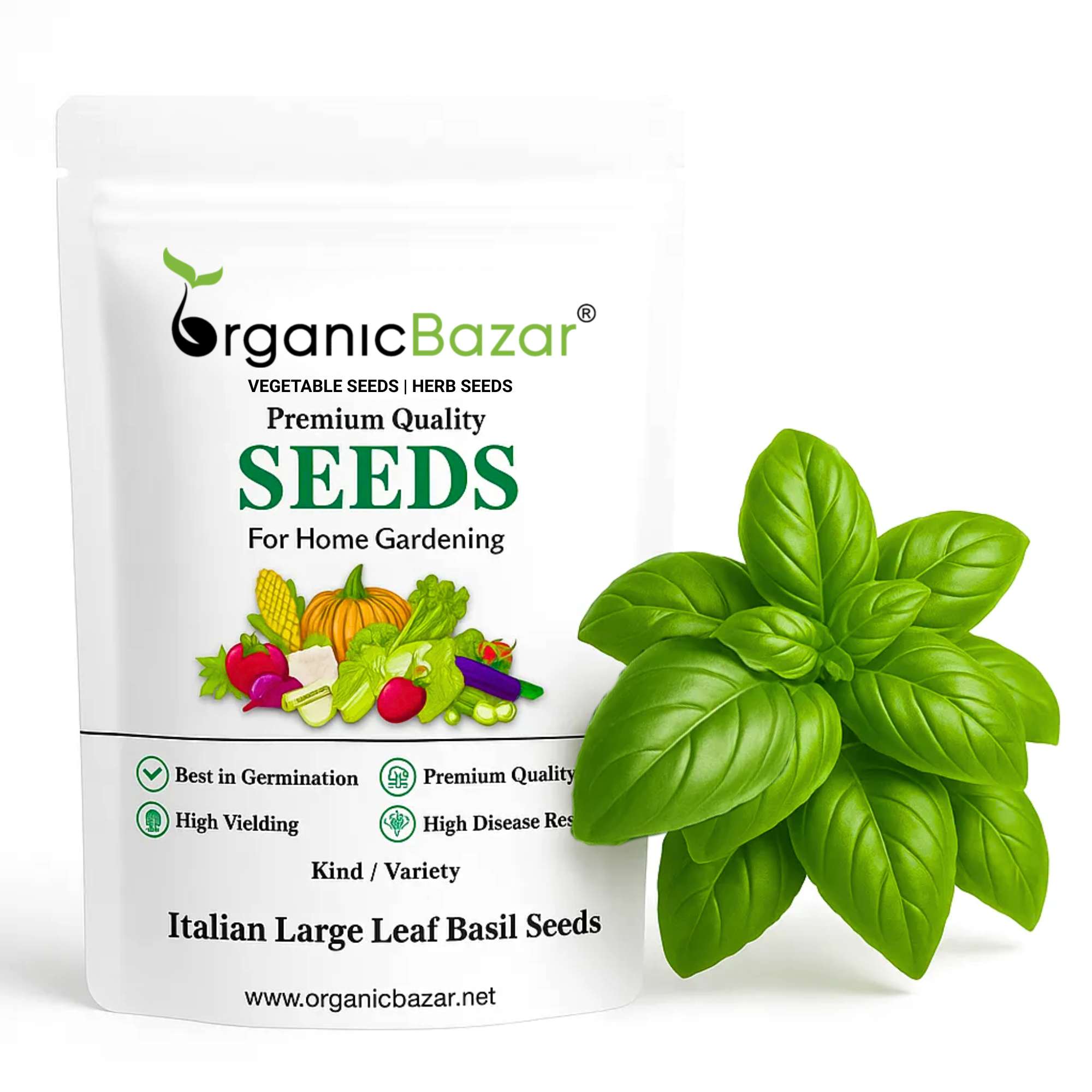 Italian Large Leaf Basil Seeds - 200 Seeds (तुलसी के बीज) High Germination/Perfect for pots, balconies, or Terrace gardens