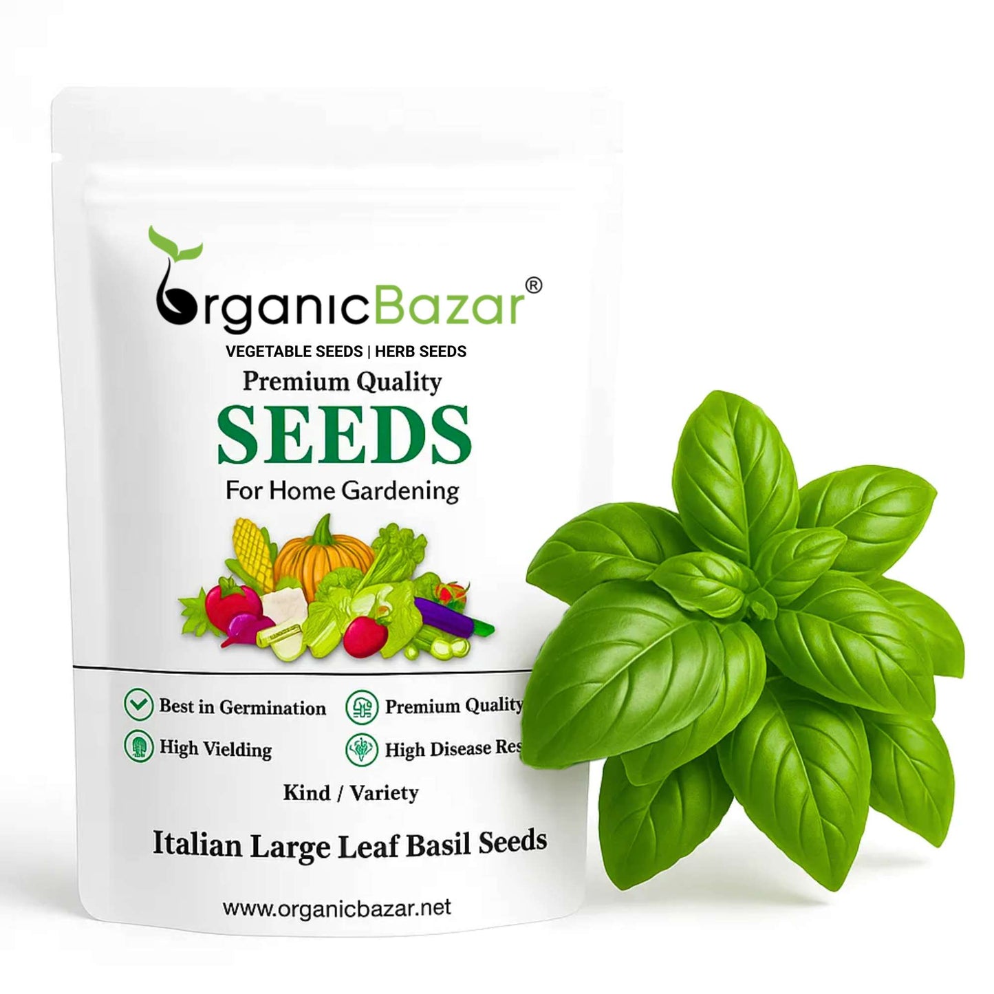 Italian Large Leaf Basil Seeds - 200 Seeds (तुलसी के बीज) High Germination/Perfect for pots, balconies, or Terrace gardens