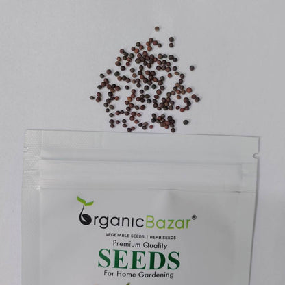 Kale Seeds For Home Gardening - 150 Seeds (केल के बीज) High Germination / Easy to Grow / Ideal for Terrace/Kitchen Gardening