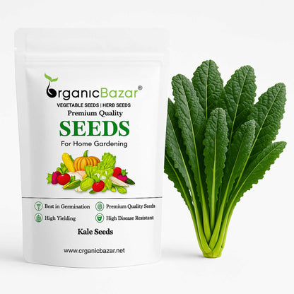 Kale Seeds For Home Gardening - 150 Seeds (केल के बीज) High Germination / Easy to Grow / Ideal for Terrace/Kitchen Gardening