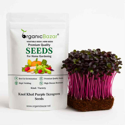 Knol Khol Purple Microgreen Seeds (10g)