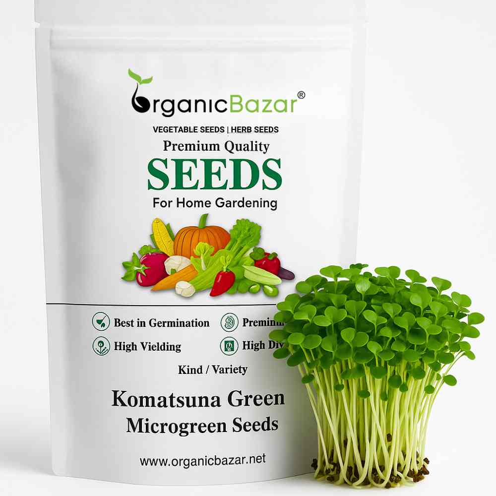 Komatsuna Green Microgreen Seeds (5g Seeds)