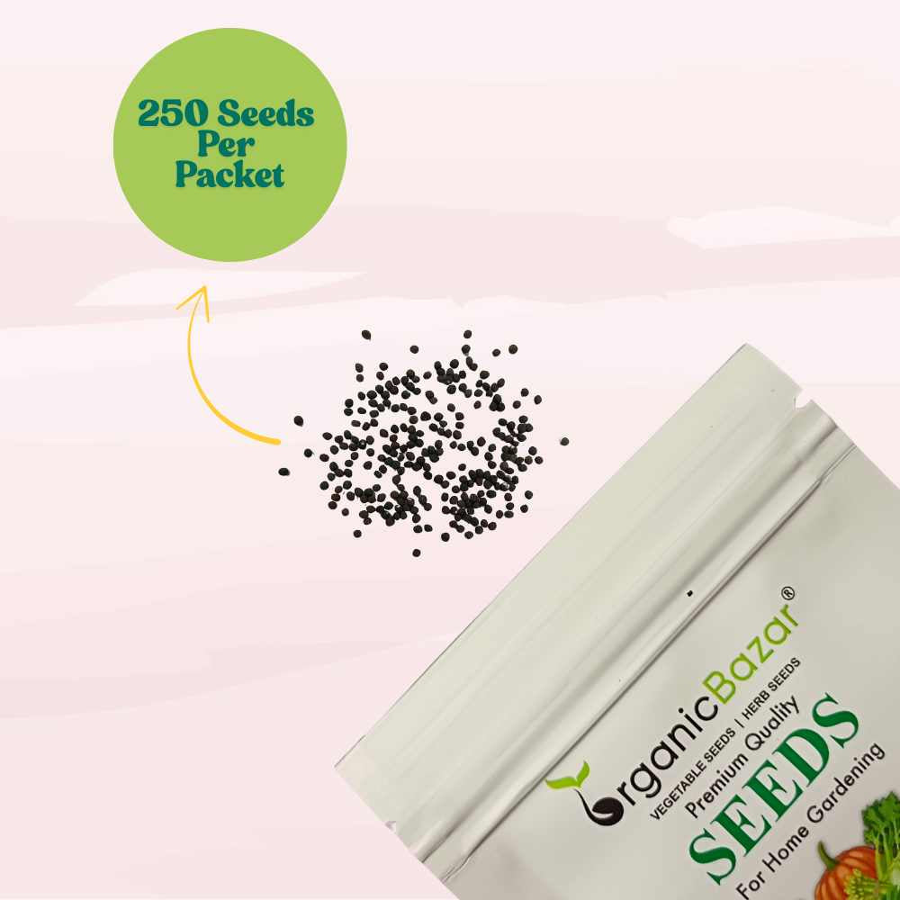 Komatsuna Green (Japanese Mustard) Seeds (250 Seeds) Easy To Grow, Suitable for pots, grow bags, Premium Quality Seeds For Terrace Gardening