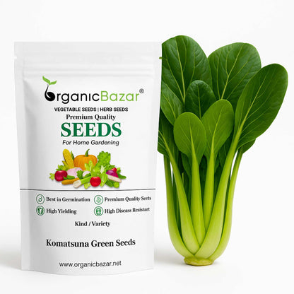 Komatsuna Green (Japanese Mustard) Seeds (250 Seeds) Easy To Grow, Suitable for pots, grow bags, Premium Quality Seeds For Terrace Gardening