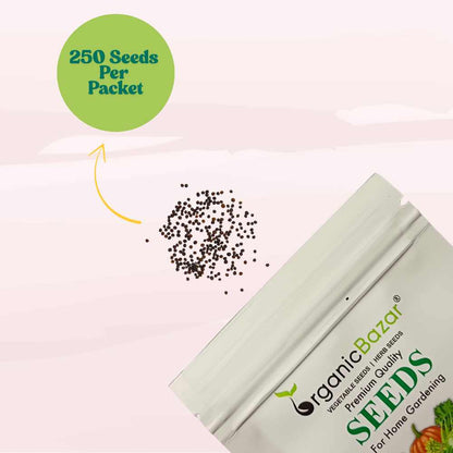 Komatsuna Red (Japanese Mustard) Seeds (250 Seeds) Easy To Grow, Suitable for pots, grow bags, Premium Quality Seeds For Terrace Gardening