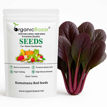 Komatsuna Red (Japanese Mustard) Seeds (250 Seeds) Easy To Grow, Suitable for pots, grow bags, Premium Quality Seeds For Terrace Gardening