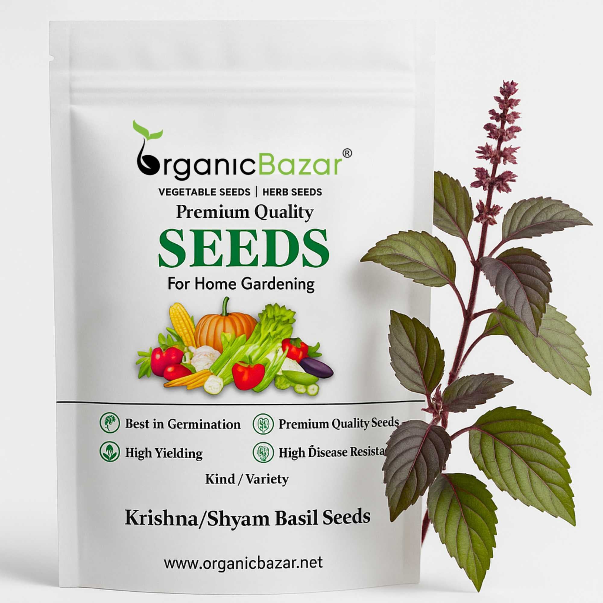 Krishna/Shyam Basil Seeds - 200 Seeds (Tulsi/तुलसी के बीज) High Germination/Perfect for pots, balconies, or Terrace gardens