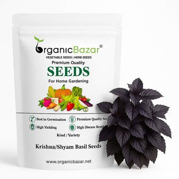 Krishna/Shyam Basil Seeds - 200 Seeds (Tulsi/तुलसी के बीज) High Germination/Perfect for pots, balconies, or Terrace gardens