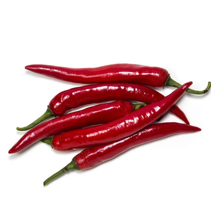 Kashmiri Chilli Seeds - (50 Seeds) High Yield | High Germination | Best for Home Gardens (Kashmiri Laal Mirch ke Beej / कश्मीरी मिर्च के बीज)