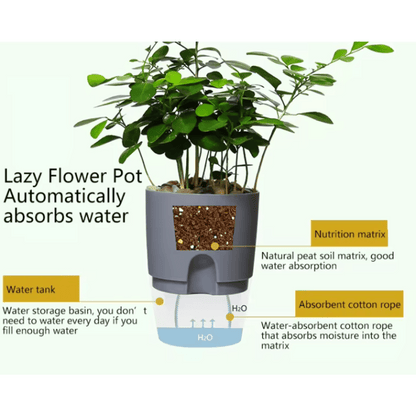 OrganicBazar Self Watering Pot Clear Plastic Decorative Garden Planters (Pack of 2) Without Plant