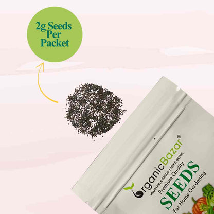 Lemon Basil Microgreens Seeds (2g Seeds)