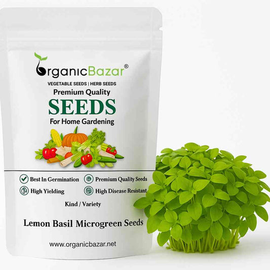 Lemon Basil Microgreens Seeds (2g Seeds)