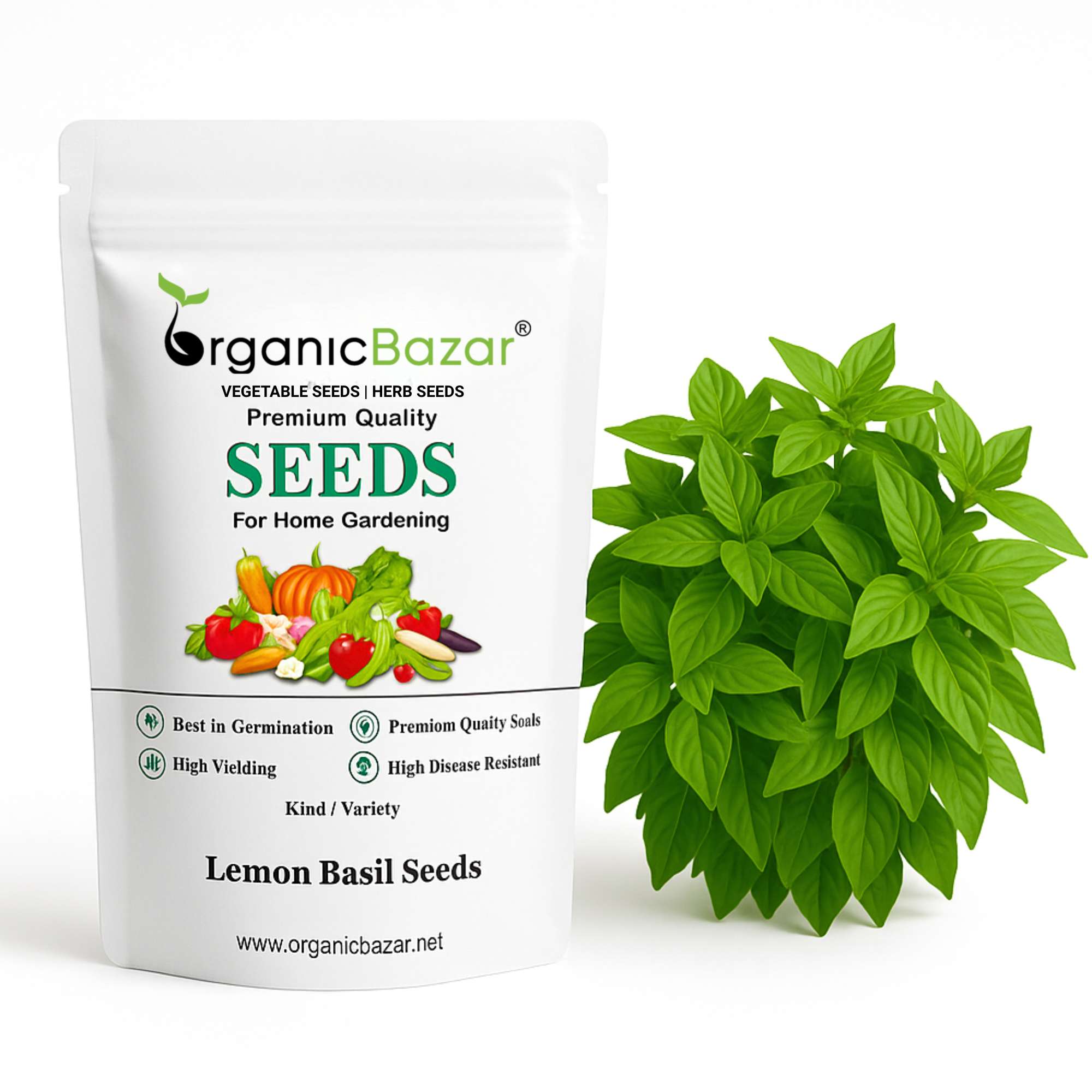 Lemon Basil Seeds - 200 Seeds (Tulsi/लेमन तुलसी के बीज) High Germination/Perfect for pots, balconies, or Terrace gardens