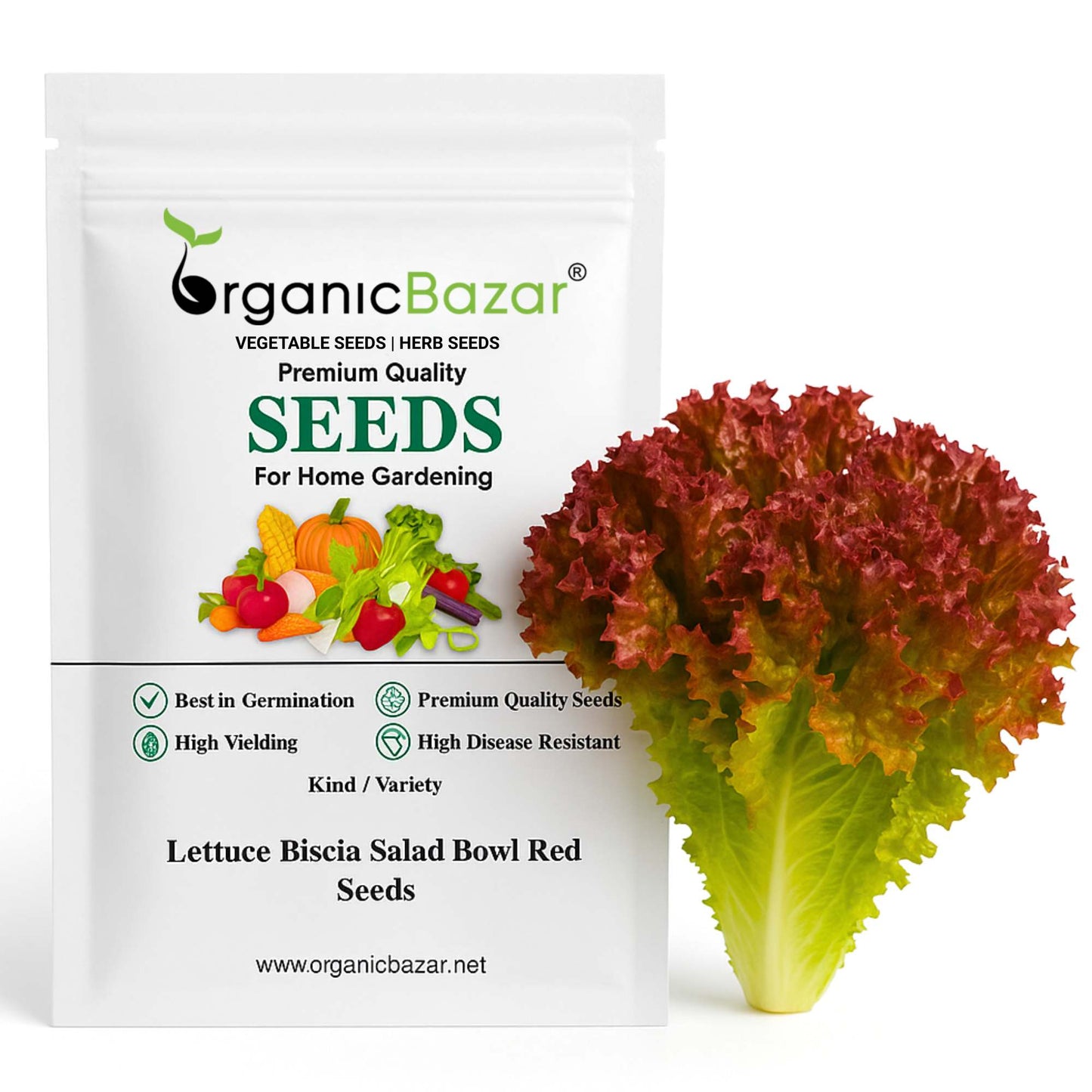 Lettuce Biscia Salad Bowl Red Seeds (Salad patta/सलाद पत्ता के बीज) Easy To Grow, High Germination, Leafy Vegetable Seeds for Balcony, Terrace Garden