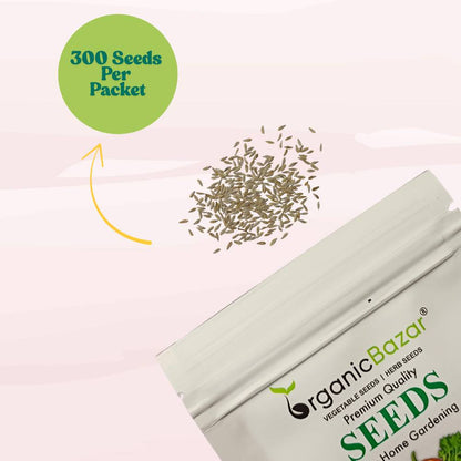 Lettuce Iceberg Seeds - 300 Seeds (Salad patta/सलाद पत्ता के बीज) Easy To Grow, High Germination, Leafy Vegetable Seeds for Balcony, Terrace Garden