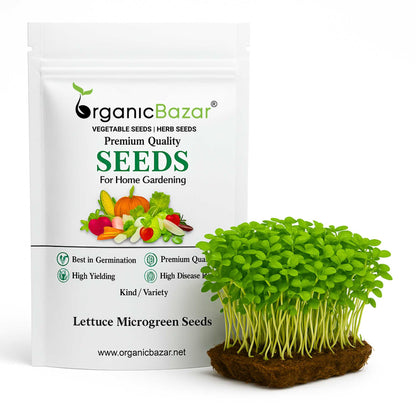 Lettuce Microgreen Seeds (10g)