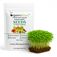 Lettuce Microgreen Seeds (10g)