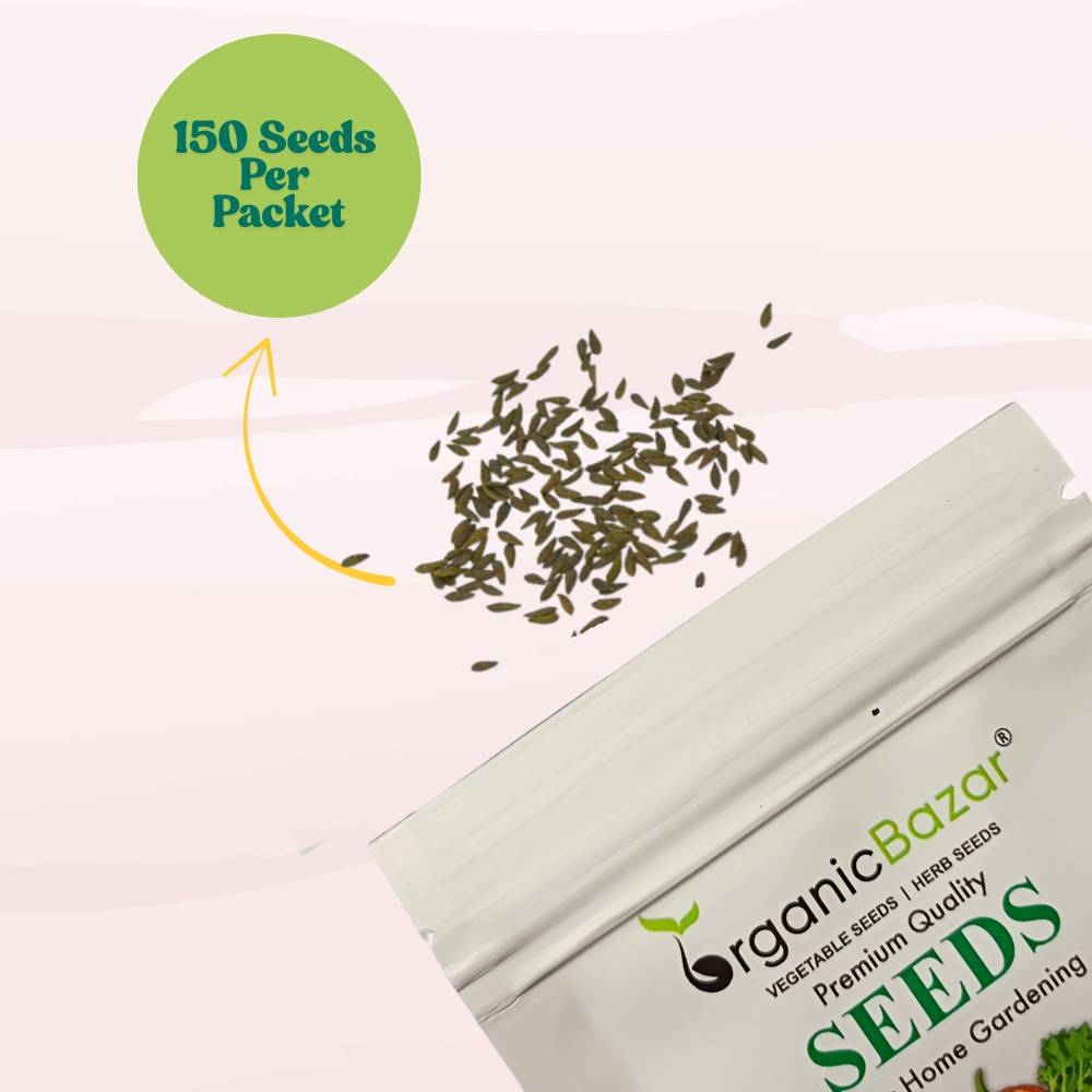 Lettuce Red Rose Seeds (150 Seeds) Easy To Grow, High Germination, Leafy Vegetable Seeds for Balcony, Terrace Garden