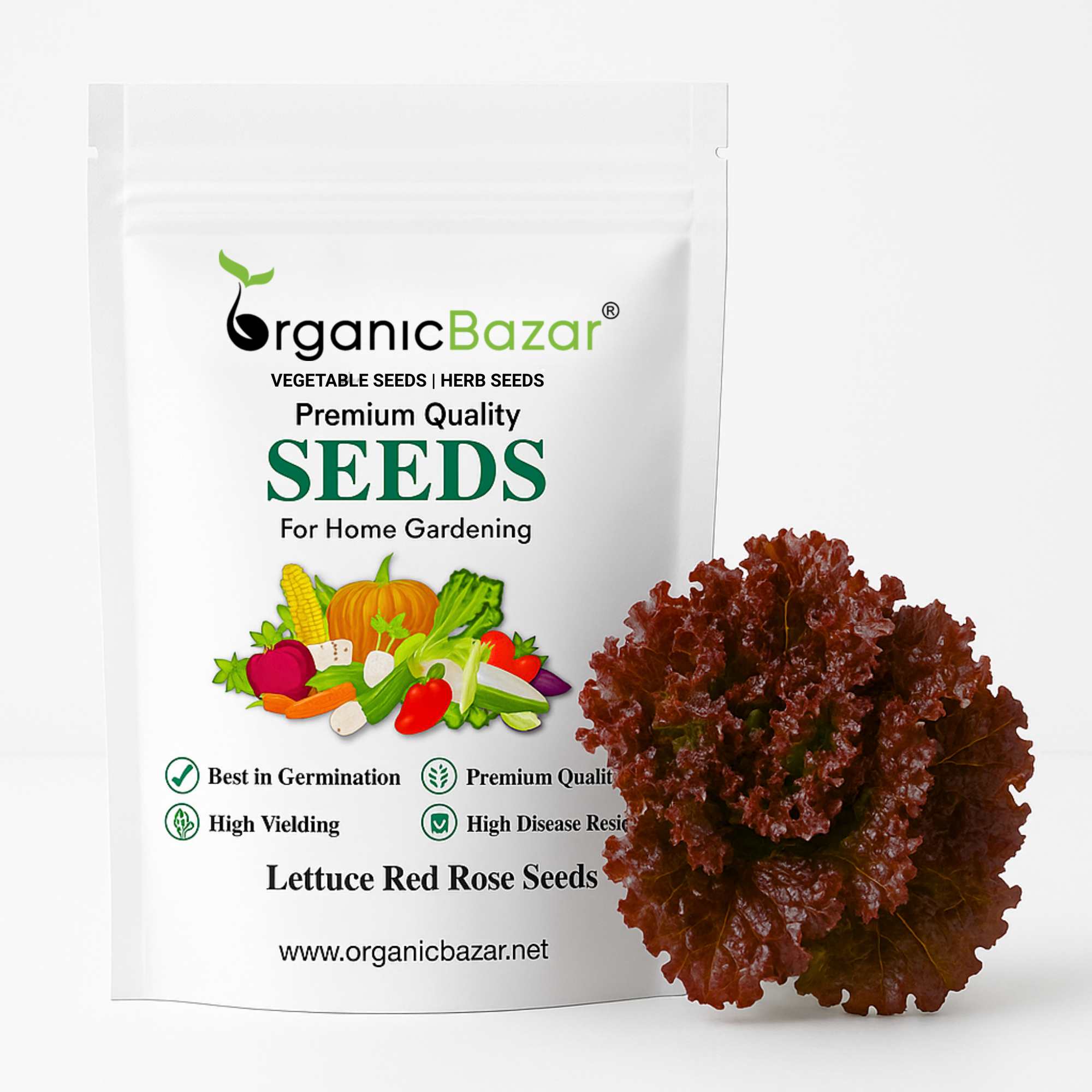 Lettuce Red Rose Seeds (150 Seeds) Easy To Grow, High Germination, Leafy Vegetable Seeds for Balcony, Terrace Garden