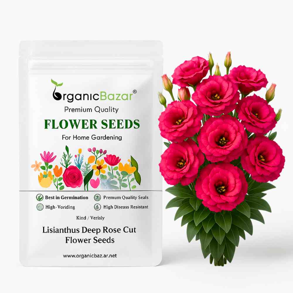 lisianthus flower seeds Lisianthus Deep Rose Cut Flower Seeds (30 Seeds) Cut Flower Seeds For –  Organicbazar
