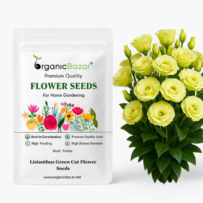 Lisianthus Green Cut Flower Seeds (30 Seeds) Cut Flower Seeds Pots, Bouquets & Balcony Gardening