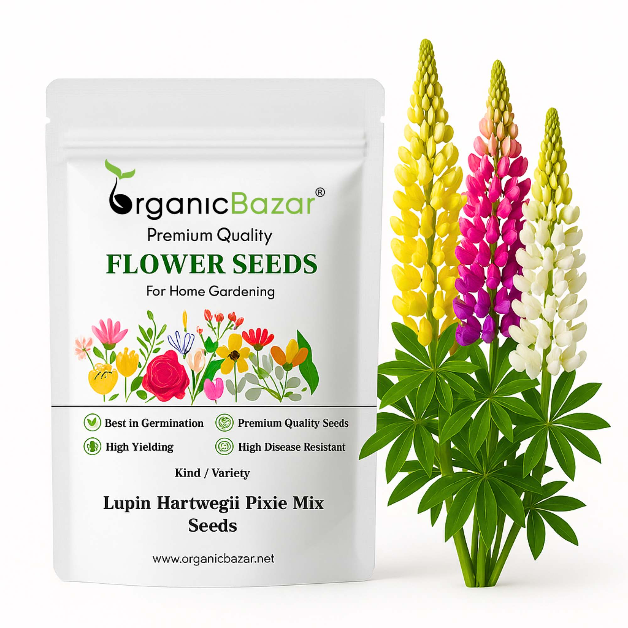 Lupin (Bluebonnet) Hartwegii Pixie Mix Seeds - (50 Seeds) High Germination/ Easy To grow/ Perfect for pots, balconies, or Terrace gardens