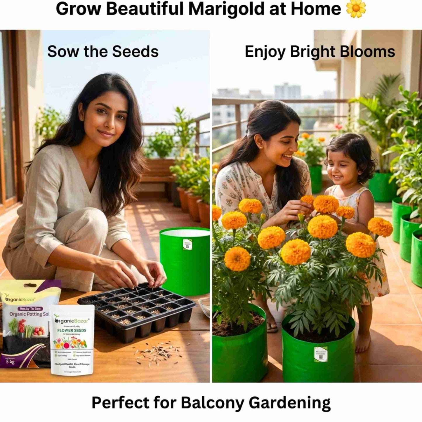 Marigold Double Dwarf Orange Seeds - 100 Seeds (Genda/ गेंदा के बीज) High Germination/ Easy To grow/ Perfect for pots, balconies, or Terrace gardens