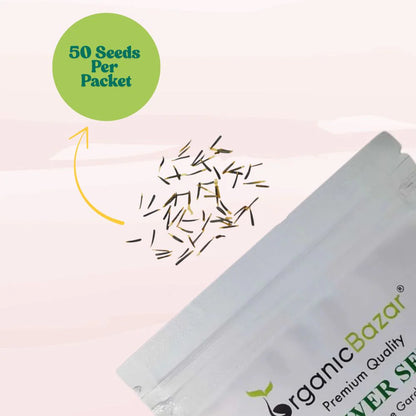 Marigold (Genda) Kolkata Round Ball Yellow Seeds (50 Seeds) (गेंदा के बीज) High Germination/ Easy To grow/ Perfect for pots, balconies, or Terrace gardens