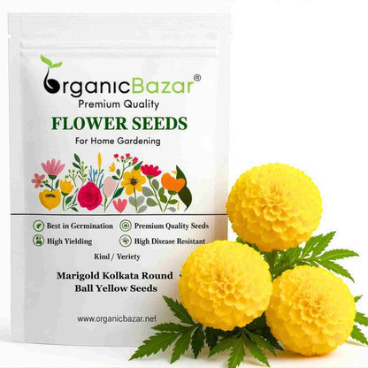 Marigold (Genda) Kolkata Round Ball Yellow Seeds (50 Seeds) (गेंदा के बीज) High Germination/ Easy To grow/ Perfect for pots, balconies, or Terrace gardens