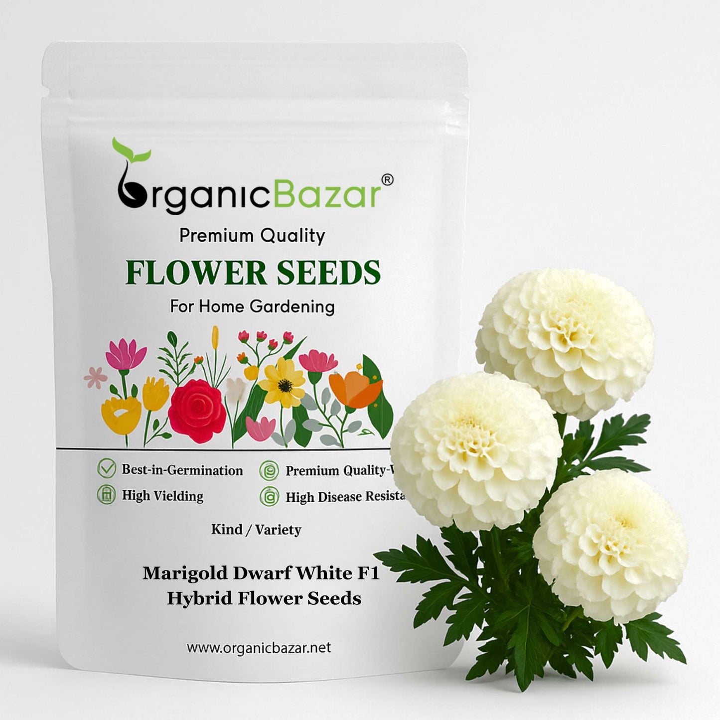 Marigold Dwarf White F1 Hybrid Flower Seeds (20 Seeds) High Germination/ Easy To grow/ Perfect for pots, balconies, or Terrace gardens