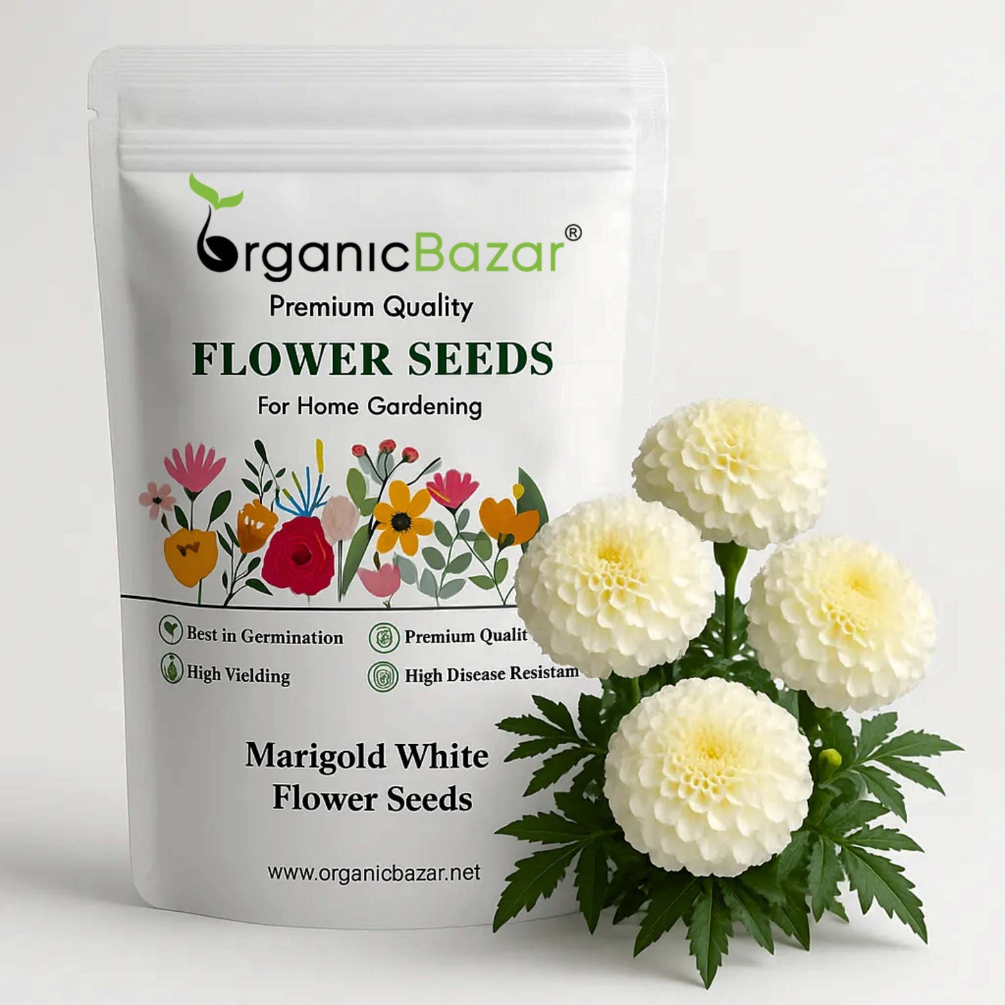 Marigold White Flower Seeds - 50 Seeds (Genda/ सफ़ेद गेंदा के बीज) High Germination/ Easy To grow/ Perfect for pots, balconies, or Terrace gardens