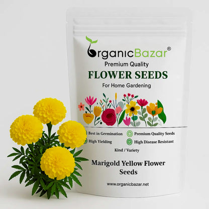 Marigold Yellow Flower Seeds - 100 Seeds (Pila Genda/ पीले गेंदा के बीज) High Germination/ Easy To grow/ Perfect for pots, balconies, or Terrace gardens
