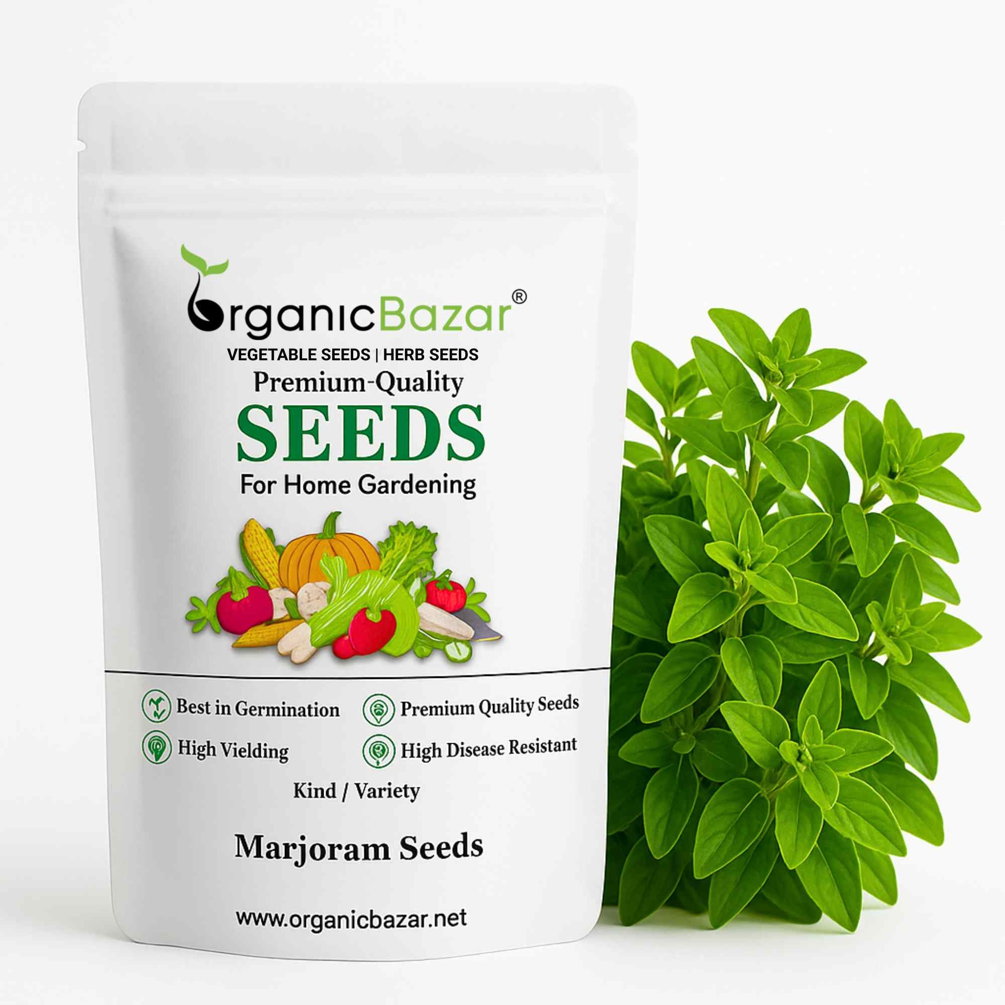 Marjoram Seeds (300 Seeds) High Germination/Perfect for pots, balconies, or Terrace gardens